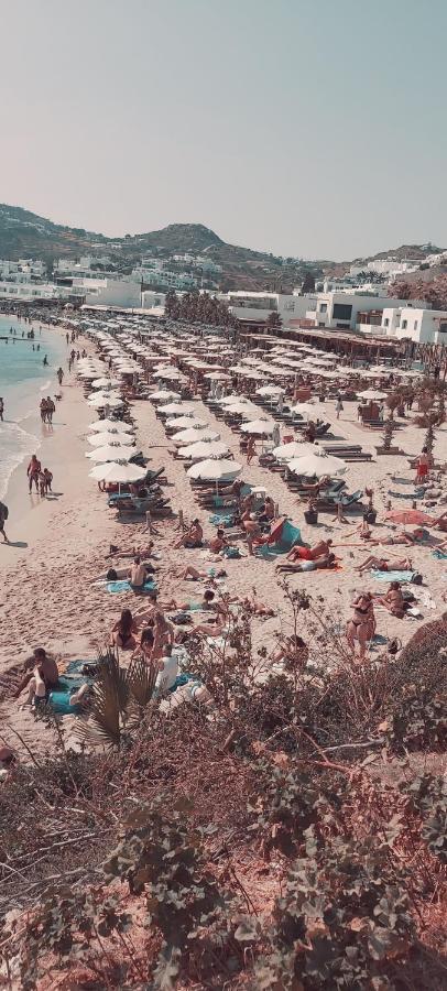 Demis Mykonos Stay 2 بلاتيس يالوس الغرفة الصورة